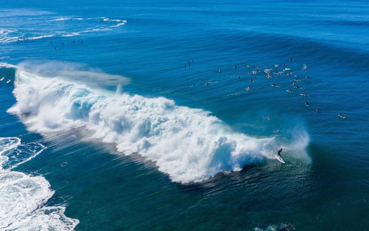 Surfing In Oahu - The Best Surf Spots in Hawaii