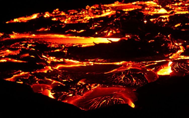What Exactly Are Lava Trees Hawaii?