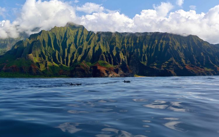 Why You Should Visit Hawaii?