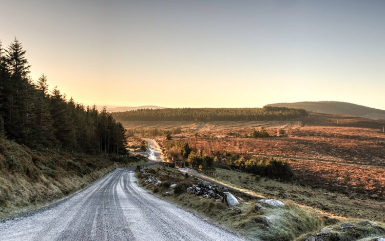 Things To Do In Wicklow Ireland In Less Than 24 hours.