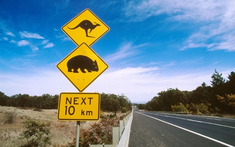 19 Things to Know about Australia Before Visiting