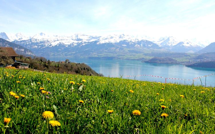 The Most Beautiful Lakes in Switzerland