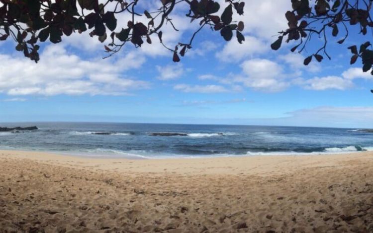 North Shore Beaches - 8 Best Beaches North Shore Oahu, Hawaii 2023