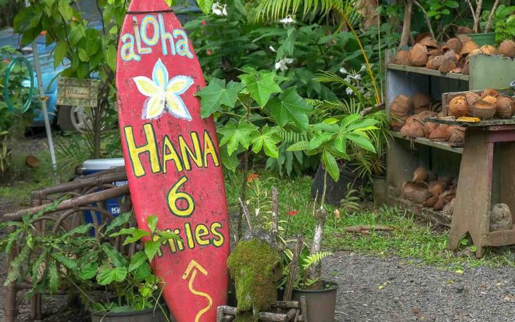 North Shore Maui - 20 Best Things To Do in Paia, Maui 2023 - Travel Pixy