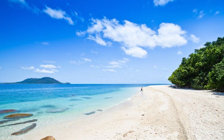 Top 15 Best Beaches in Australia You Must Visit in 2023