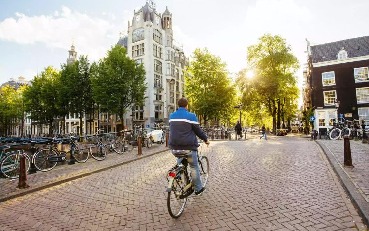 Why Don't The Dutch Wear Helmets - Travel Pixy