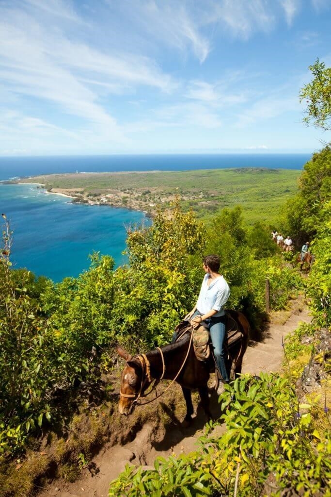 An image of Kalaupapa with mules ascending the area of Molokai is presented in this photograph taken by Dana Edmunds and endorsed by the Hawaii Tourism Authority (HTA).