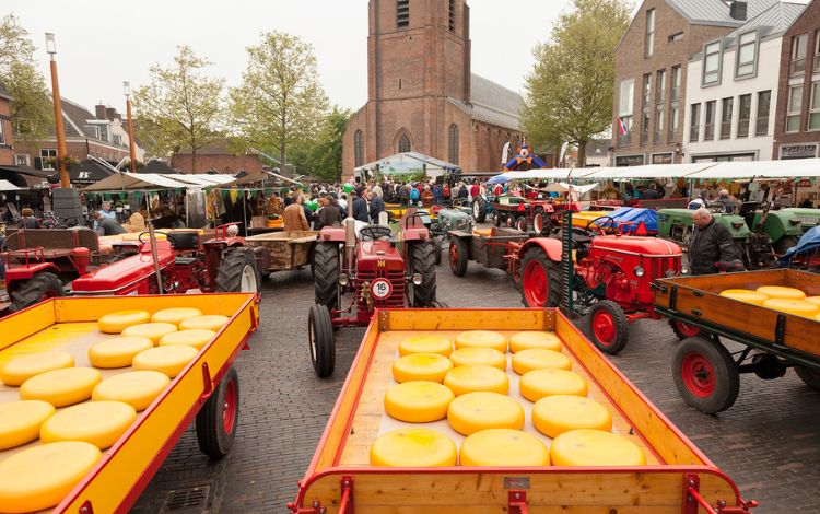 Cheese Markets in Netherlands that You Have To Visit (A GUIDE)