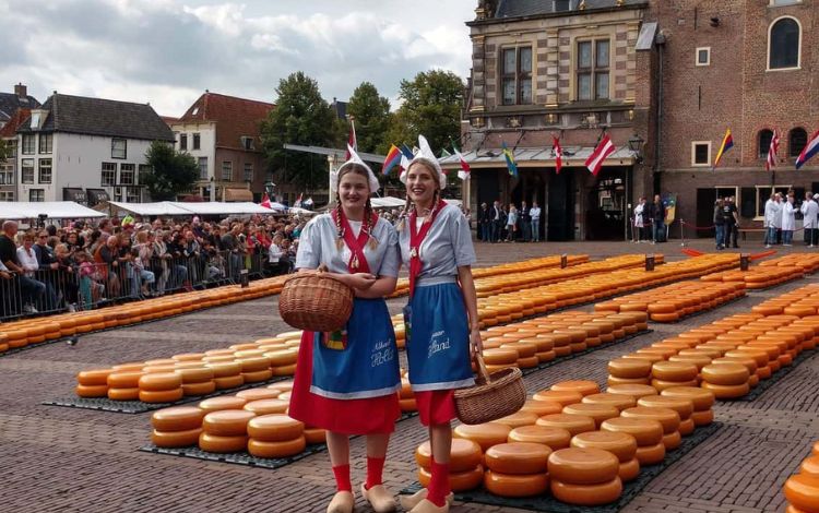 Cheese Market in Netherlands that You Have To Visit (A GUIDE)