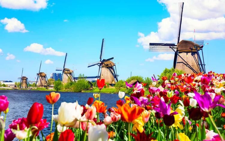 15 Best Things to Do in Rotterdam Netherland