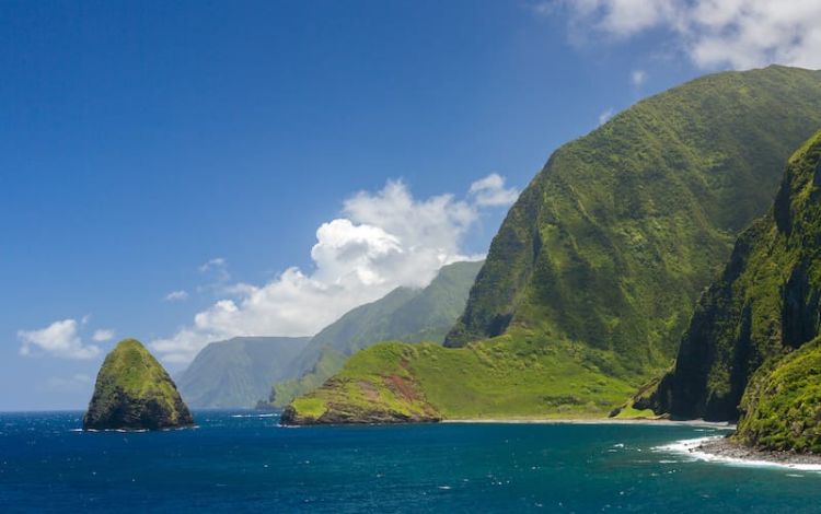 [Hawaiian Beaches] 20 Best Beaches in Hawaii for a Memorable Trip 2023