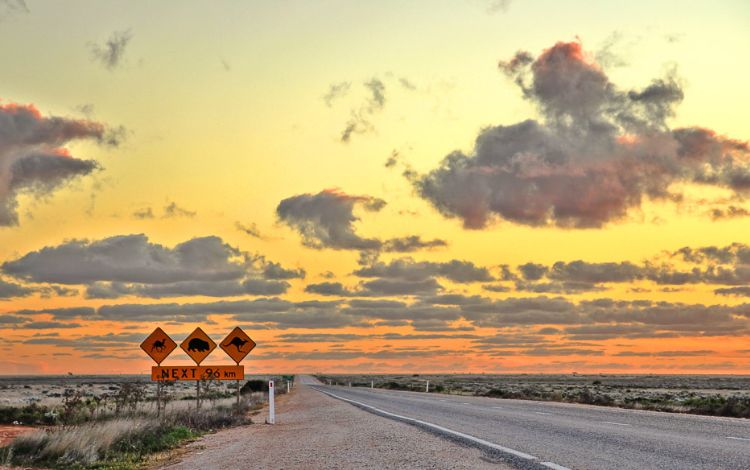 11 Best Road Trips Around Australia (Australia's Most Iconic Road Trips)