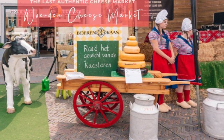 Cheese Markets in Netherlands that You Have To Visit (A GUIDE)