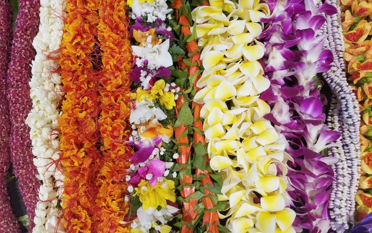 16 Best Souvenirs From Hawaii (Authentic Hawaiian Gifts)
